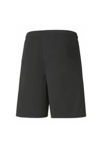 Puma - Męskie szorty piłkarskie teamLIGA PUMA Black White. Kolor: biały, wielokolorowy, czarny. Sport: piłka nożna