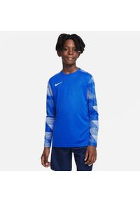 Koszulka treningowa chłopięca Nike JR Dry Park IV. Kolor: biały, wielokolorowy, niebieski. Długość rękawa: długi rękaw. Długość: długie. Sport: piłka nożna