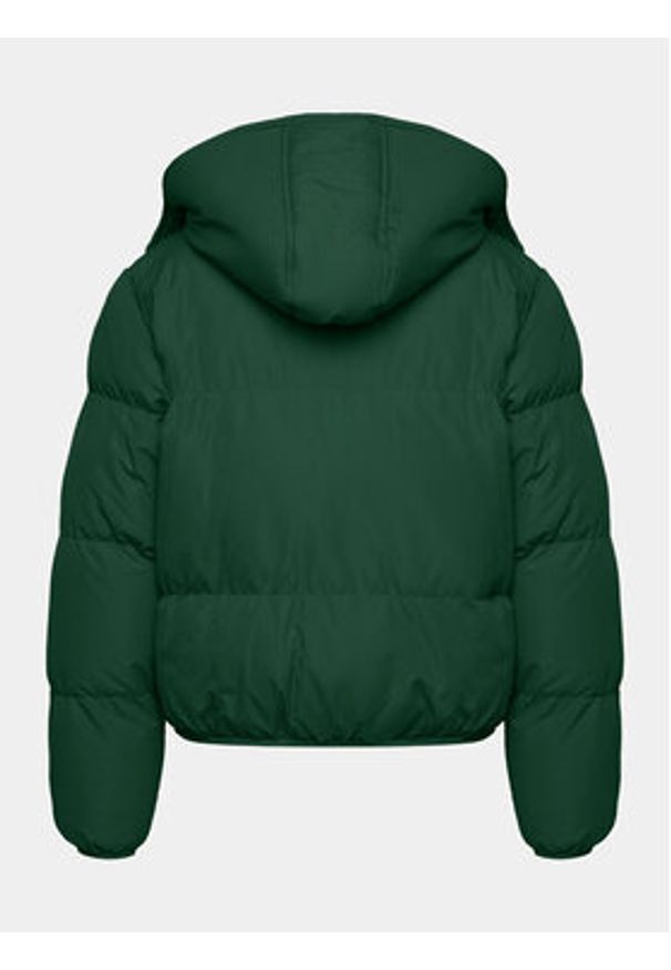 Brave Soul Kurtka przejściowa LJK-BUNNYFOREST Zielony Regular Fit. Kolor: zielony. Materiał: wiskoza