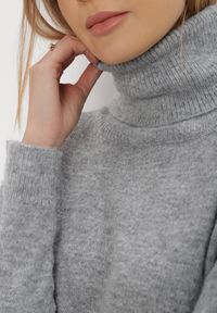 Born2be - Szara Sukienka Dzianinowa Classificator. Okazja: na co dzień. Typ kołnierza: golf. Kolor: szary. Materiał: dzianina. Długość rękawa: długi rękaw. Sezon: zima, jesień. Typ sukienki: proste. Styl: casual #3