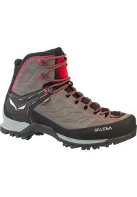 Buty Trekkingowe Męskie Salewa Mtn Trainer Mid Gtx. Kolor: wielokolorowy, szary, czarny