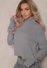 Renee - Ciemnoszary Luźny Golf o Klasycznym Fasonie z Prążkami na Ściągaczach Basum. Okazja: na co dzień. Typ kołnierza: golf. Kolor: szary. Materiał: jeans. Wzór: prążki. Styl: klasyczny #6