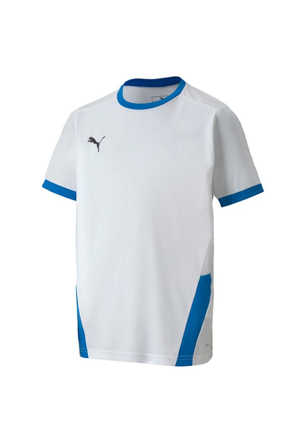 Koszulka dla dzieci Puma teamGOAL 23 Jersey. Kolor: biały, niebieski, wielokolorowy. Materiał: poliester