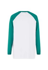 Urban Classics - Koszulka Chłopięca Organic Oversized Raglan. Kolor: biały, zielony, wielokolorowy. Długość rękawa: raglanowy rękaw