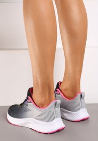 Born2be - Szaro-Fuksjowe Buty Sportowe Sneakersy ze Sznurowaniem Vikirilla. Zapięcie: sznurówki. Kolor: szary. Materiał: materiał #2