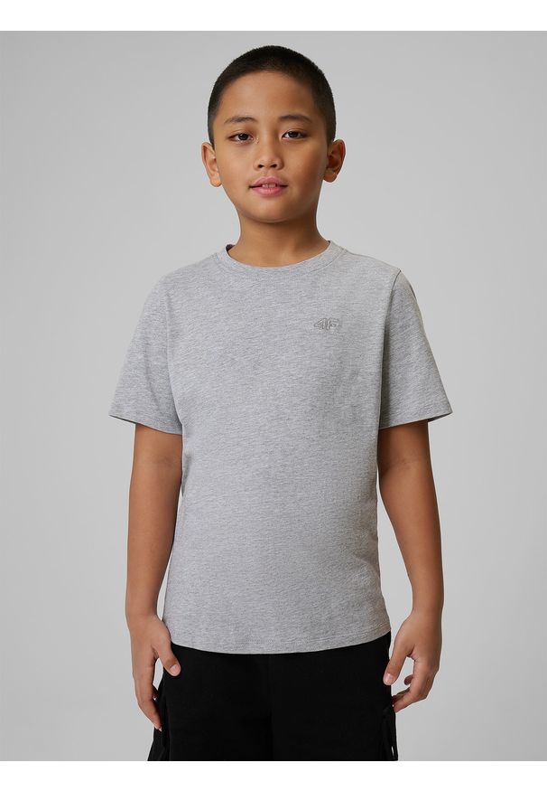 4f - 4F T-shirt gładki chłopięcy - szary 146 (10-11 lat). Okazja: na co dzień. Kolor: szary. Materiał: jersey, bawełna, materiał. Długość rękawa: krótki rękaw. Długość: krótkie. Wzór: gładki. Sezon: lato. Styl: sportowy, casual, klasyczny, młodzieżowy
