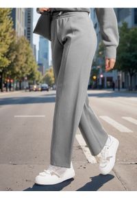 Sinsay - Spodnie dresowe - szary. Kolor: szary. Materiał: dresówka. Długość: długie