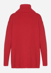 Born2be - Czerwony Sweter z Golfem i Dodatkiem Kaszmiru Rorizia. Okazja: na co dzień, do pracy. Typ kołnierza: golf. Kolor: czerwony. Długość: długie. Wzór: aplikacja. Materiał: kaszmir. Długość rękawa: długi rękaw. Sezon: zima, jesień. Styl: casual, klasyczny #6