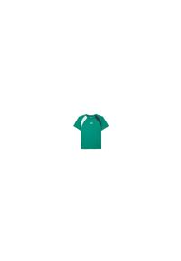 Koszulka tenisowa męska z krótkim rękawem Diadora SS T-Shirt. Kolor: zielony, niebieski, wielokolorowy, biały. Długość rękawa: krótki rękaw. Długość: krótkie. Sport: tenis