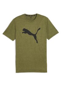Puma Koszulka Train Fav Heather Cat 52235299. Kolor: zielony. Sport: fitness