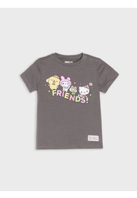 Sinsay - Bawełniana koszulka z nadrukiem Hello Kitty - szary. Kolor: szary. Materiał: bawełna. Wzór: motyw z bajki, nadruk #1