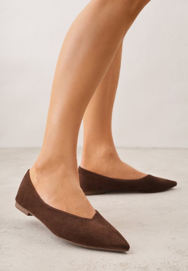 Renee - Brązowe Balerinki z Imitacji Zamszu ze Szpiczastym Noskiem Melikel. Nosek buta: szpiczasty. Kolor: brązowy. Materiał: zamsz