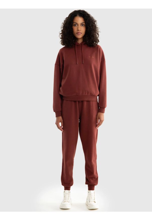 Big-Star - Bluza damska z kapturem bordowa Megan 604/ Foxie 604. Okazja: na co dzień. Typ kołnierza: kaptur. Kolor: czerwony. Styl: casual