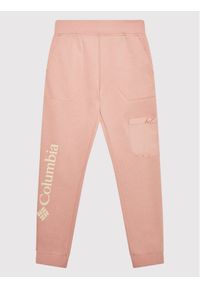 columbia - Columbia Spodnie dresowe Trek™ 1989811 Różowy Regular Fit. Kolor: różowy. Materiał: bawełna