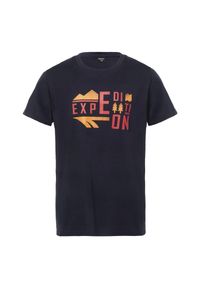 Hi-tec - T-shirt Dziecięca Z Krótkim Rękawem Nelo. Kolor: niebieski, wielokolorowy, zielony. Długość rękawa: krótki rękaw. Długość: krótkie. Sport: turystyka piesza #1