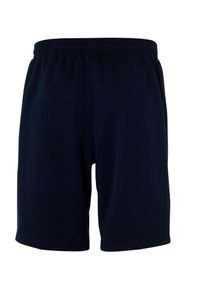UHLSPORT - Szorty Uhlsport Essential PES. Kolor: czarny. Materiał: poliester, materiał. Sport: piłka nożna, fitness #2
