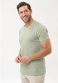 Volcano - Bawełniana koszulka T-BASIC. Kolekcja: plus size. Materiał: bawełna. Długość rękawa: krótki rękaw. Długość: krótkie. Styl: klasyczny #1