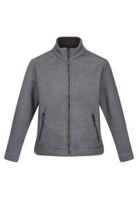 Regatta - Męski Polar Z Suwakiem Garrian II. Kolor: wielokolorowy, szary, zielony, brązowy. Materiał: polar. Sport: turystyka piesza #1