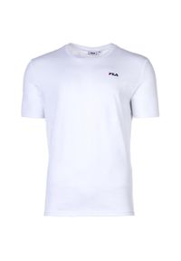 Koszulka sportowa męska Fila FAM008383072. Kolor: szary, biały, wielokolorowy. Długość rękawa: krótki rękaw. Długość: krótkie. Sport: joga i pilates
