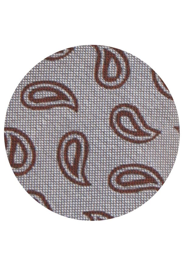 Męski Krawat - Popielaty w Brązowe Paisley - Alties. Kolor: szary, wielokolorowy, brązowy. Materiał: tkanina. Wzór: paisley. Styl: elegancki, wizytowy