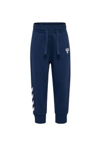 Spodnie dziecięce Hummel Mini Reg Logo. Kolor: niebieski #1