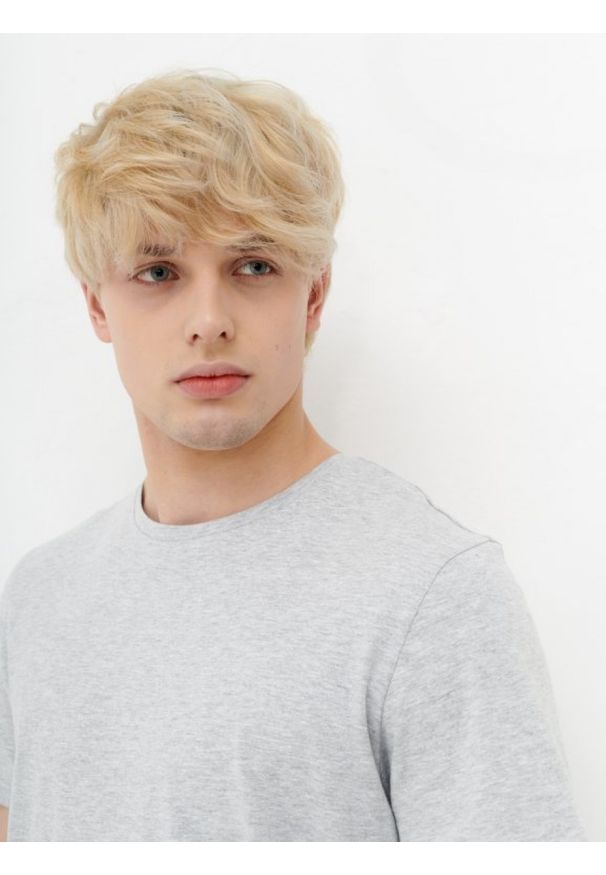 outhorn - Gładki t-shirt męski. Materiał: bawełna, jersey, materiał. Wzór: gładki