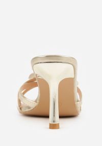 Renee - Złote Klapki na Szpilce z Ozdobnym Kwiatkiem Brialora. Okazja: na co dzień. Kolor: złoty. Materiał: jeans. Wzór: kwiaty. Sezon: wiosna, lato. Obcas: na szpilce. Styl: casual #3