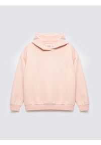 Big-Star - Bluza dziewczęca z kapturem różowa Alana 600. Okazja: na co dzień, na uczelnię. Typ kołnierza: kaptur. Kolor: różowy. Materiał: dzianina, materiał. Wzór: aplikacja, haft. Styl: casual, elegancki #1