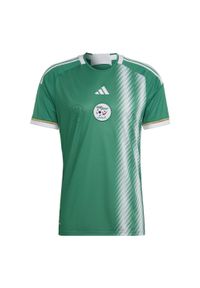 Adidas - Algeria 22 Away Jersey. Kolor: biały, zielony, wielokolorowy. Materiał: jersey