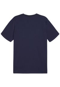 Koszulka męska Puma Team Goal Casuals Tee. Kolor: niebieski. Materiał: materiał