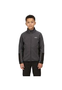 Bluza turystyczna polarowa dla dzieci Regatta Highton. Kolor: szary. Materiał: poliester. Sport: turystyka piesza #1