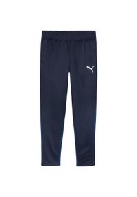 Puma - Męskie Treningowe Spodnie Do Biegania Team Goal. Kolor: niebieski. Materiał: dresówka