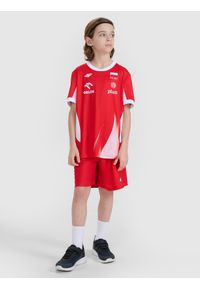 4f - 4F Spodenki meczowe replika dziecięce 4F x Polska Siatkówka - czerwone 110/116. Kolor: czerwony. Materiał: włókno, dzianina, syntetyk, materiał. Długość: krótkie. Wzór: aplikacja, gładki, ze splotem. Sezon: lato. Styl: klasyczny, sportowy #1