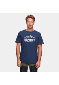 Koszulka turystyczna męska z krótkim rękawem Alpinus Mountains. Kolor: szary, niebieski, wielokolorowy. Długość rękawa: krótki rękaw. Długość: krótkie