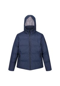 Regatta - Męska kurtka turystyczna zimowa pikowana Saltern. Typ kołnierza: kaptur. Kolor: niebieski. Sezon: zima #1