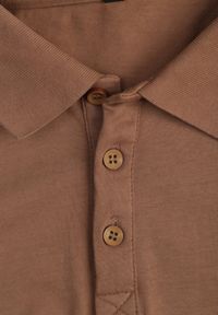 Born2be - Brązowa Gładka Koszulka Polo o Klasycznym Kroju Sinopea. Okazja: na co dzień, do pracy, na spotkanie biznesowe. Typ kołnierza: polo. Kolor: brązowy. Materiał: jeans. Wzór: gładki. Styl: klasyczny #2