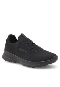 Sprandi Sneakersy WPRS-2022W05122 Czarny. Kolor: czarny. Materiał: materiał #3