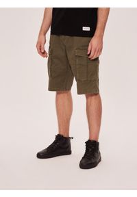Diverse - Krótkie spodenki męskie THORAN SH W424 - - Rozmiar: 34. Kolor: brązowy. Materiał: elastan, bawełna. Długość: krótkie