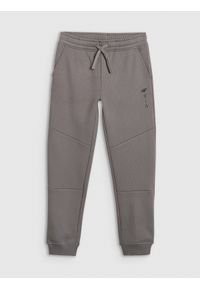 4f - 4F Spodnie dresowe joggery chłopięce - szare 128 (7-8 lat). Okazja: na co dzień. Kolor: szary. Materiał: dresówka. Wzór: gładki, nadruk, ze splotem, napisy. Sezon: lato. Styl: młodzieżowy, sportowy, casual