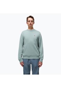 Bluza męska Napapijri Balis Crew Sum 2. Kolor: zielony #1