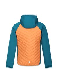 Regatta - Kurtka Dziecięca/dziecięca Kielder Hybrid VII Padded Jacket. Kolor: pomarańczowy, niebieski, wielokolorowy