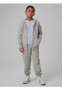 4f - 4F Bluza dresowa regular z kapturem chłopięca - szara 134 (8-9 lat). Okazja: na co dzień. Typ kołnierza: kaptur. Kolor: szary. Materiał: dresówka. Sezon: lato. Styl: casual #2