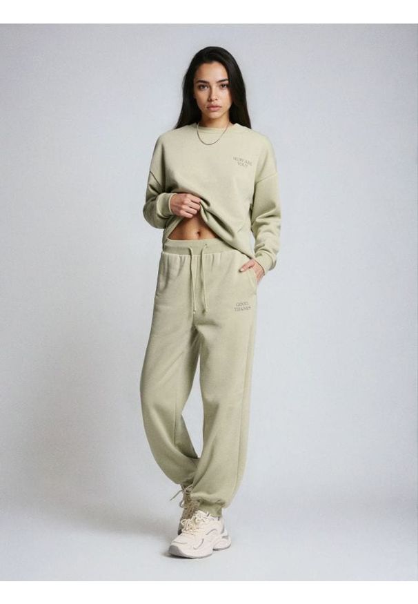 Sinsay - Spodnie jogger z miękkim wnętrzem - niebieski. Kolor: niebieski