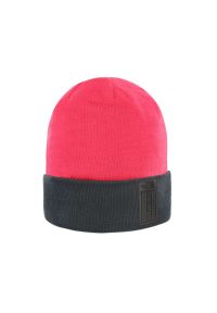 The North Face - THE NORTH FACE BEANIE 94 RAGE DOCK WORKER > 0A3FNCD0S1. Sezon: zima #1