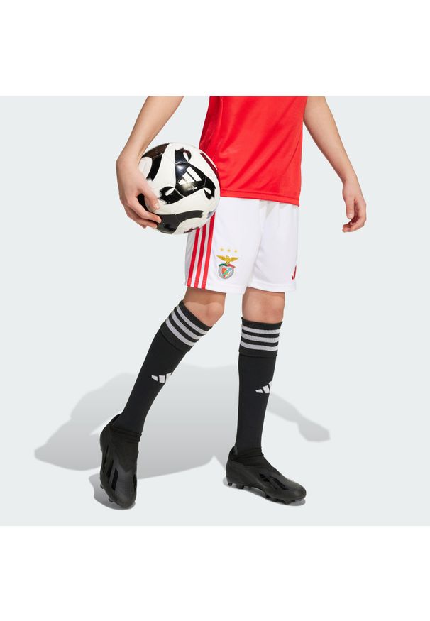 Adidas - Szorty Benfica 25/26 Home Kids. Kolor: biały. Sport: piłka nożna