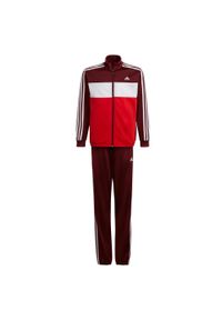 Adidas - Dres Tiberio Rozmiar 13-14 A Czerwony - HE9317. Kolor: czerwony, wielokolorowy, biały. Materiał: dresówka #1