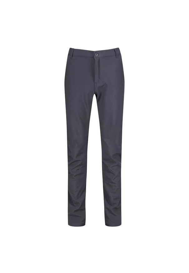 Regatta - Męskie Spodnie Trekkingowe Softshell Fenton. Kolor: szary. Materiał: softshell. Sport: turystyka piesza