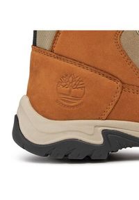 Timberland Trapery Mt. Maddsen Winter Wp Wl TB0A42RW2311 Brązowy. Kolor: brązowy. Materiał: skóra, nubuk