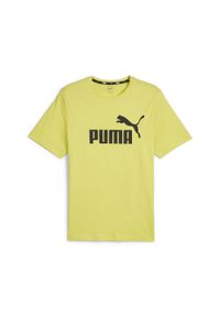 Puma - Męska koszulka z logo Essentials PUMA Lime Sheen Green. Kolor: zielony, żółty, wielokolorowy