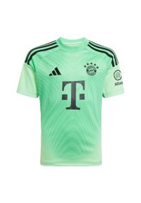 Adidas - Koszulka FC Bayern 25/26 Goalkeeper Kids. Kolor: zielony